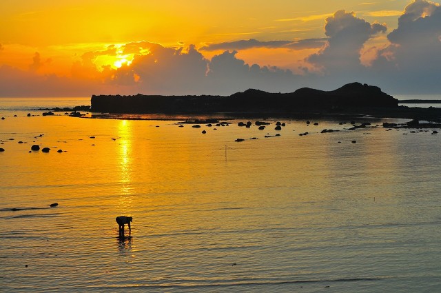 回族女生不能嫁给汉族吗,回族女孩为什么要嫁给不喜欢的人