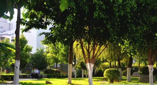 成都怎么过冬的,成都人冬天喜欢去哪过冬