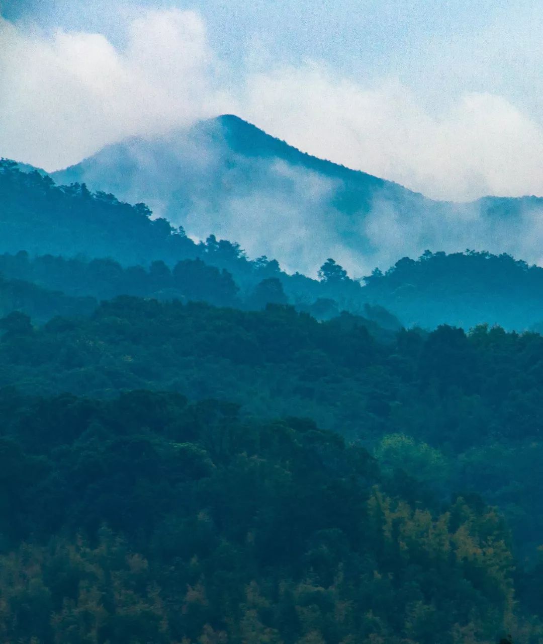 什么是广州市区,什么是广州十三行