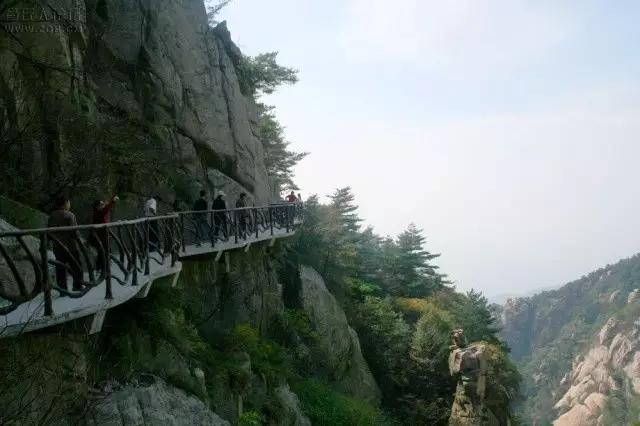 山东值得去的旅游景点,山东景区排名必游景区前十名