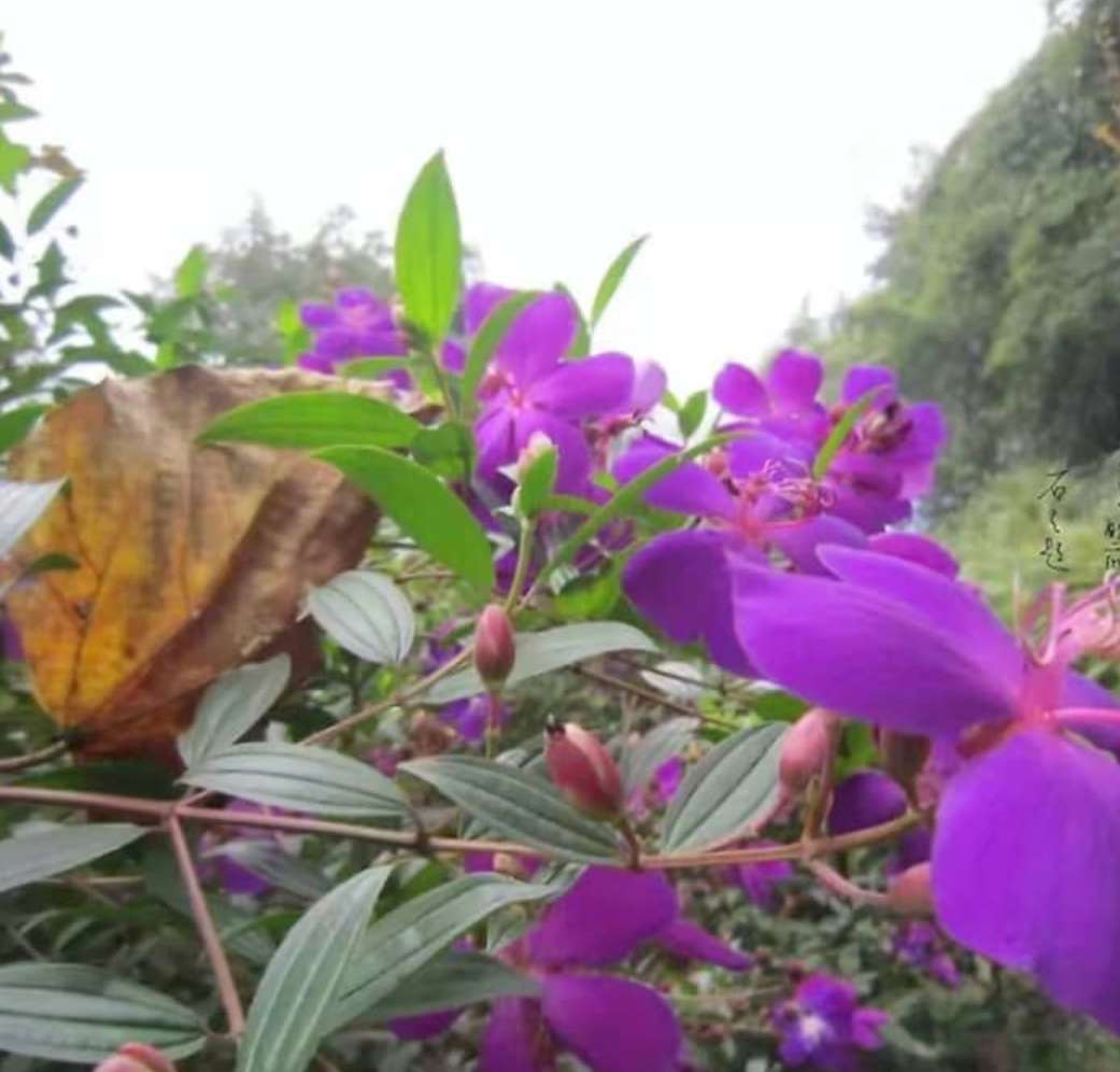 期望薪资是月薪还是年薪,薪资月薪和年薪的区别