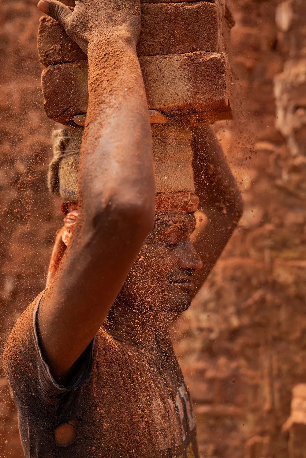 王员外图片,王员外摄影剪辑