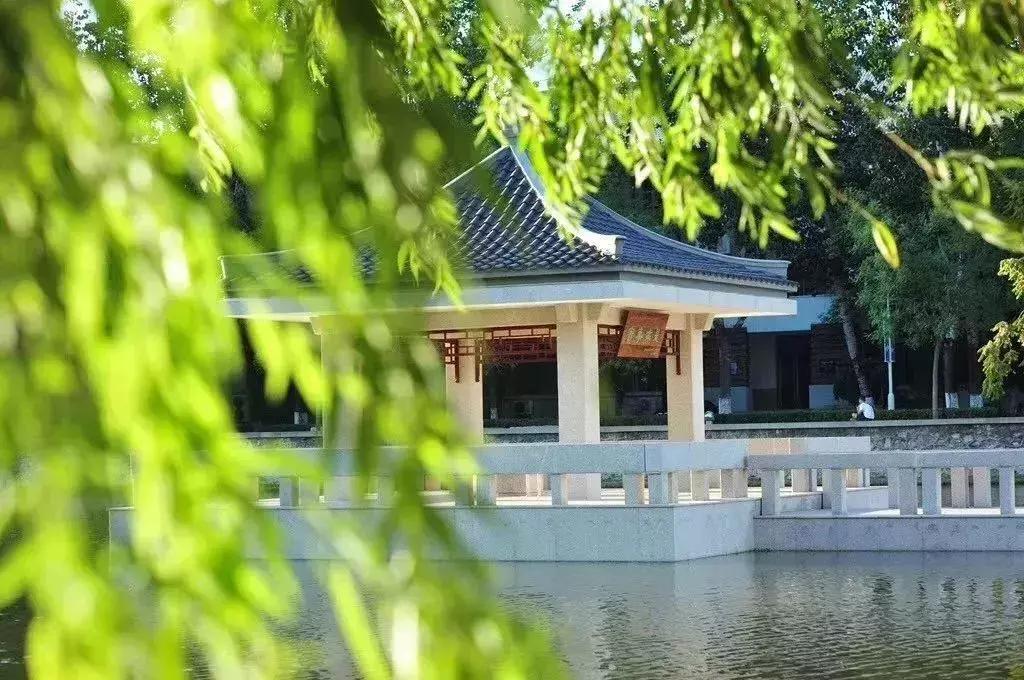 天津南开初中有春游吗,南开实验学校春游