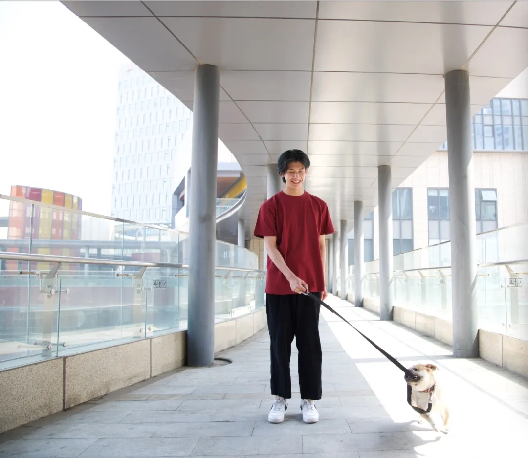 supreme白t恤有几种,15个颜色的衣服