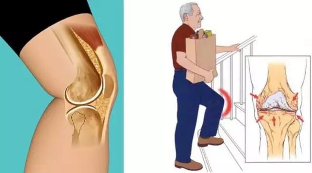 mri临床医师必读电子书,临床医生如何读mri