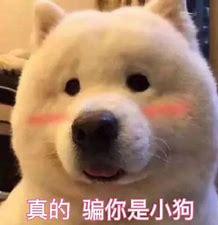 剑网3情缘语录,剑网三情缘语录