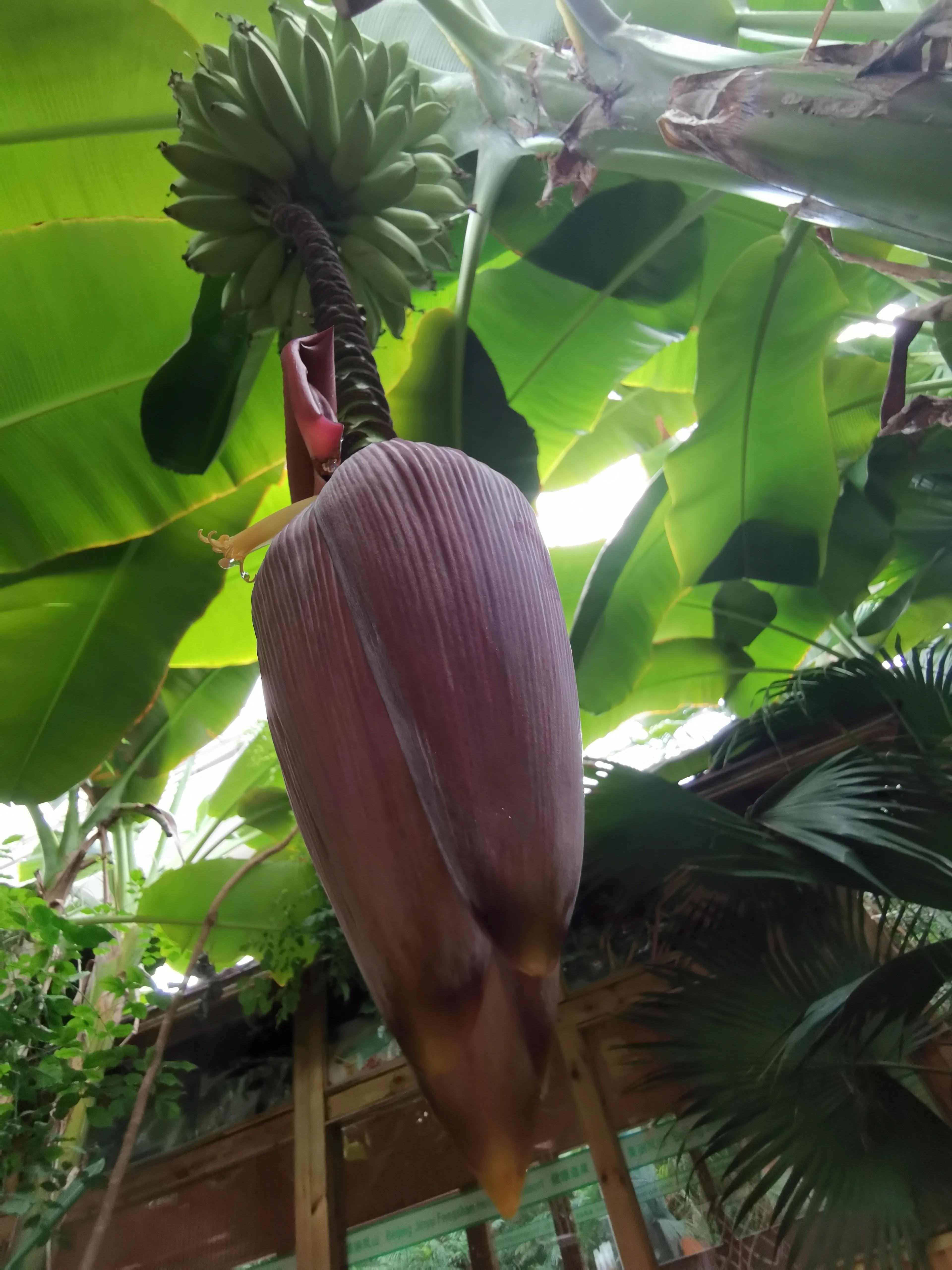 凤山温泉,北京金隅凤山温泉特色