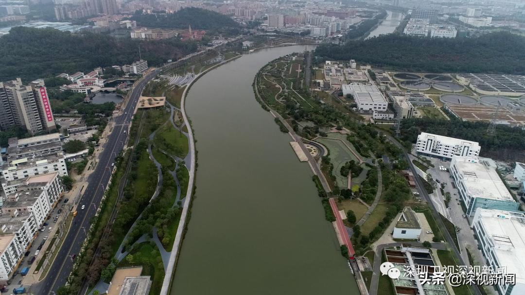 胡嘉东深圳任免公示,深圳市水务局胡嘉东局长