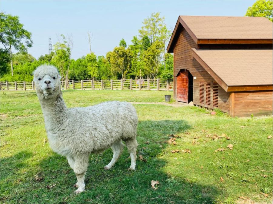 五一小众宝藏旅行地成都周边,成都旅行打卡地