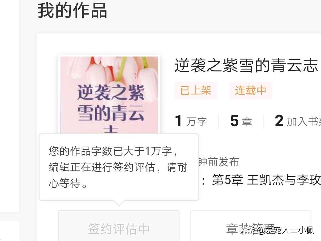 爱宠人士小佩是怎么回事,爱宠人士小佩