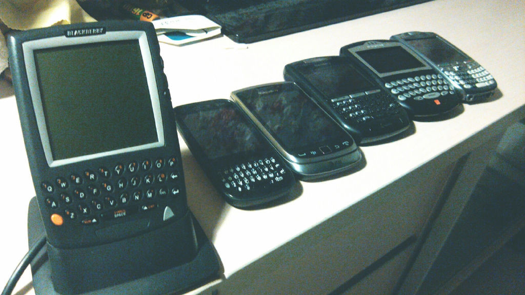 黑莓的一生,黑莓的一生简介