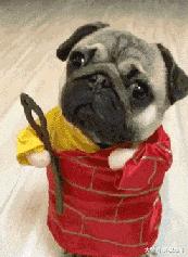 手机卡槽卡针断在里面了怎么办,手机卡槽没有用