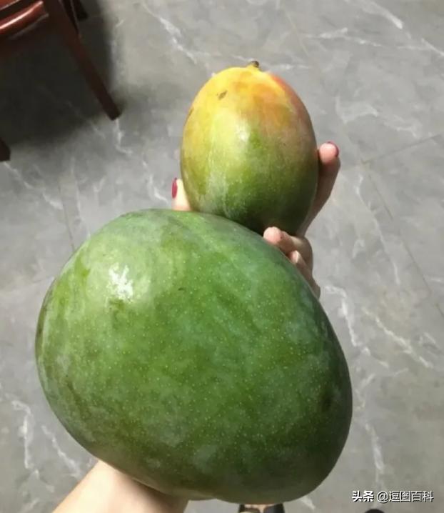 一脚踩进水坑系列,一脚踩进泥坑里那种感觉