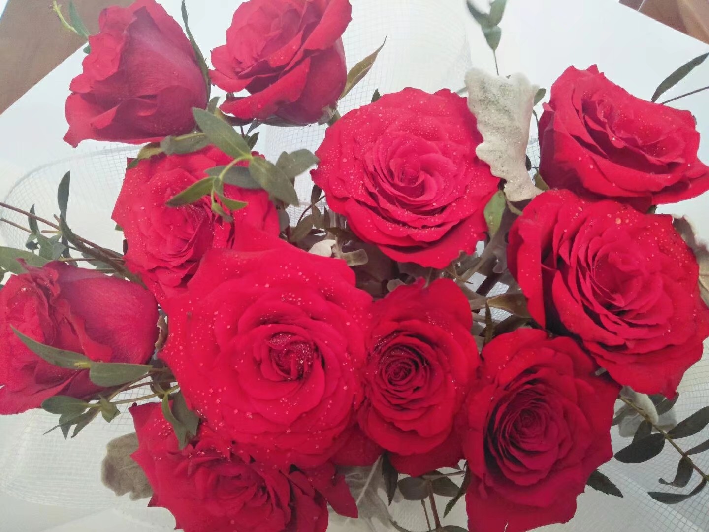 花寓意送花指南,送什么花寓意前程似锦