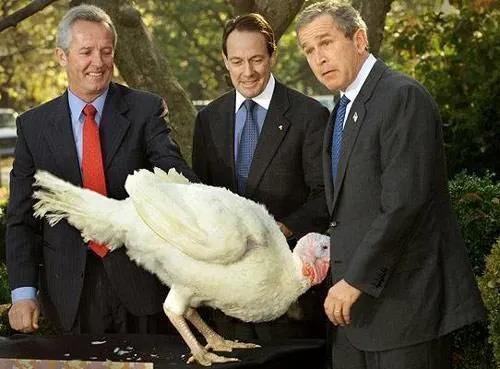 原来2000年已是20年前,原来1999年已经是20年前了