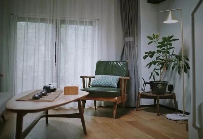 室内盆栽植物吸甲醛易活推荐,有助睡眠植物盆栽除甲醛