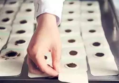 冬病夏治的穴位贴敷注意事项,冬病夏治贴敷方法视频