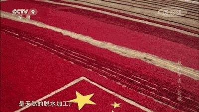 hm耐克阿迪,hm耐克优衣库阿迪达斯