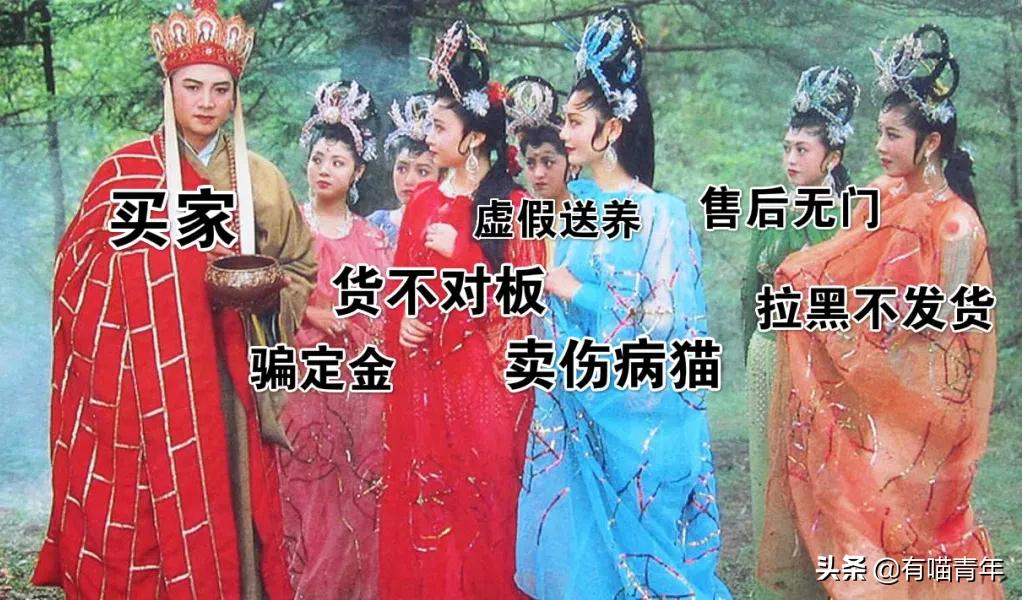 网上买的猫运回来死了,网上买猫三天送到半夜死了