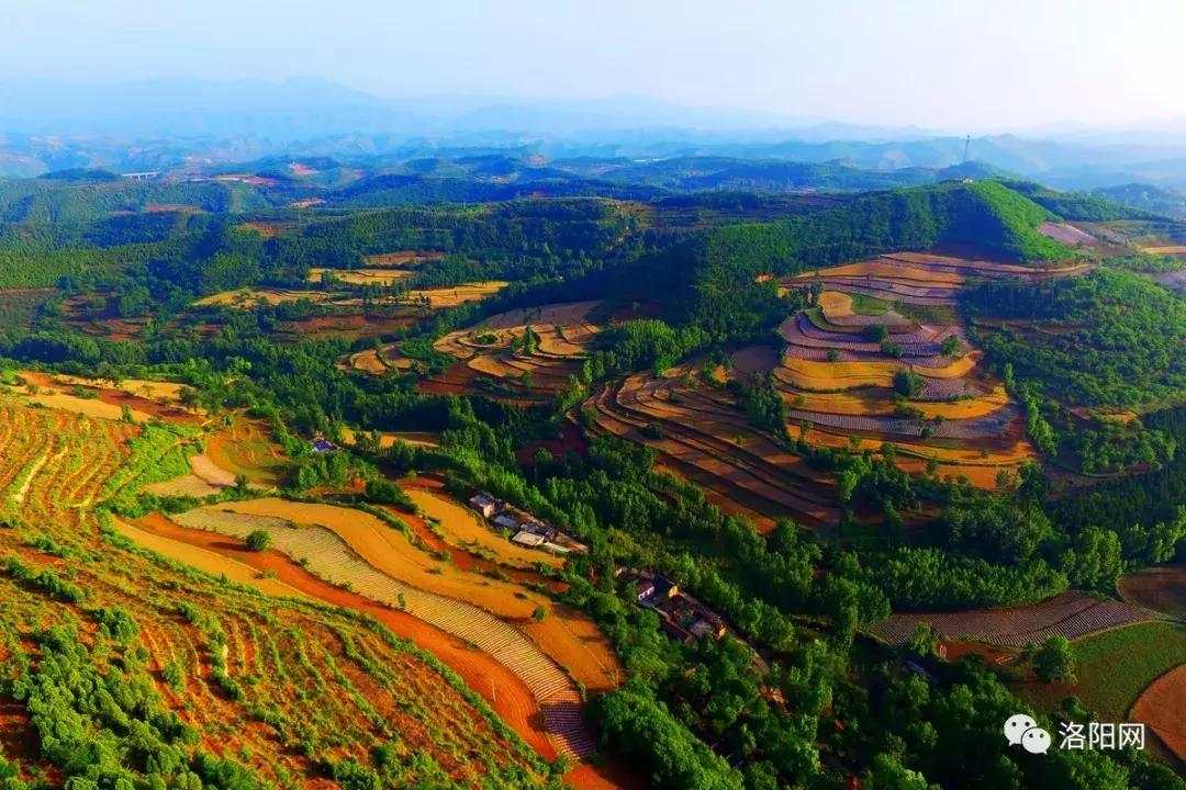 洛阳牡丹花会邀请,洛阳邀请全世界人民看牡丹