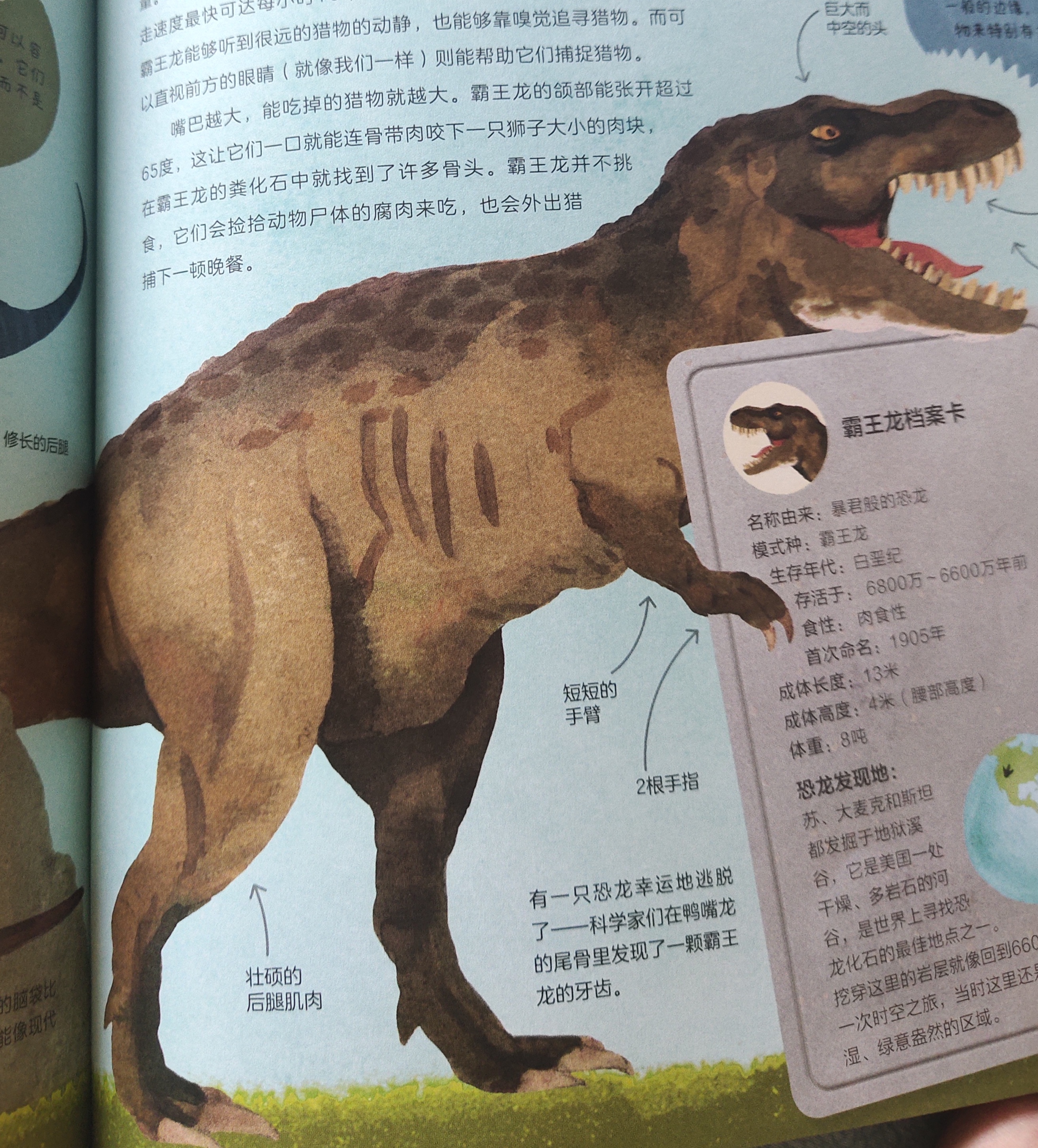 科学院恐龙科普视频,中科院的科普视频