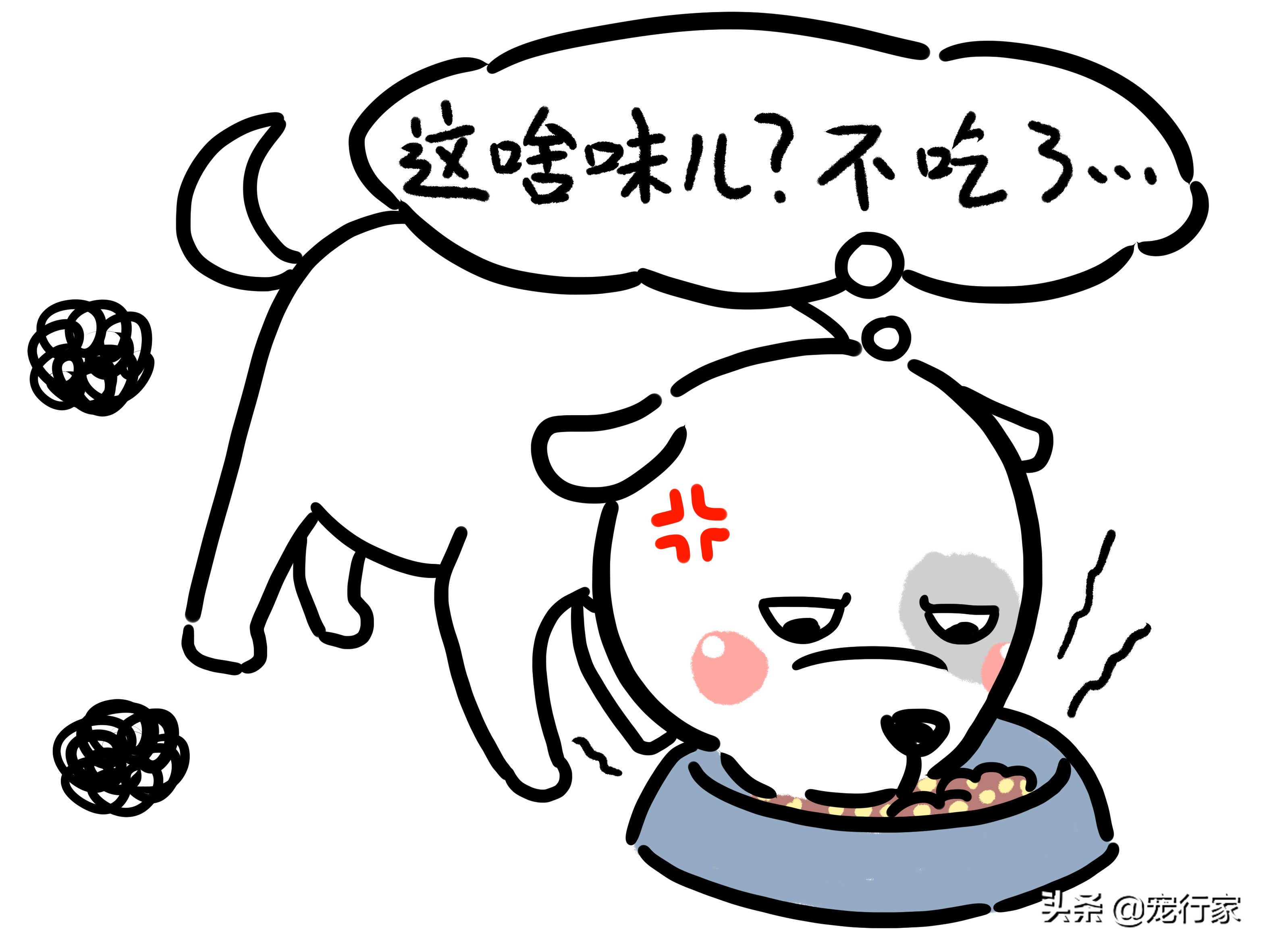 狗狗换粮拉稀还要继续换粮吗,狗狗换粮拉肚子持续几天