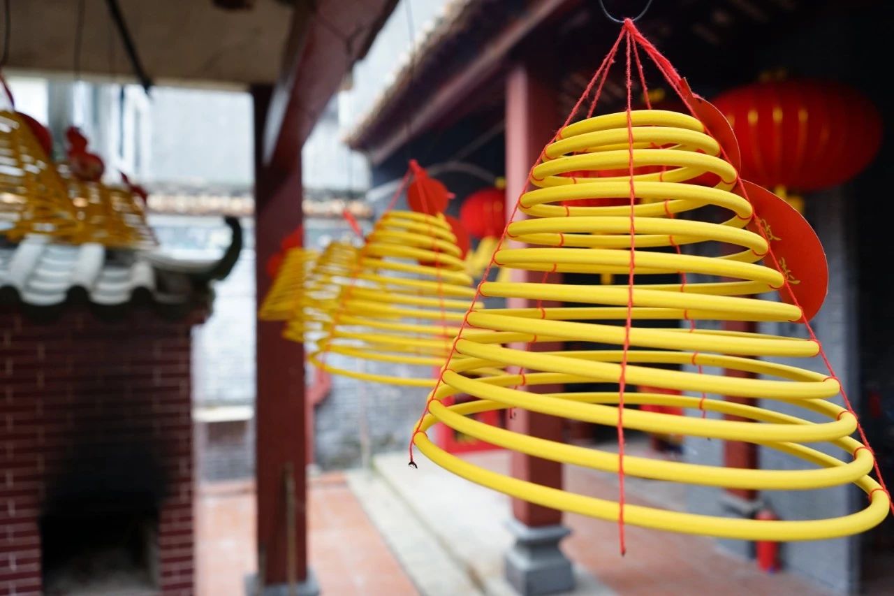 海导书|珠海·淇澳岛超干干干货攻略！一册带走，立马上海岛