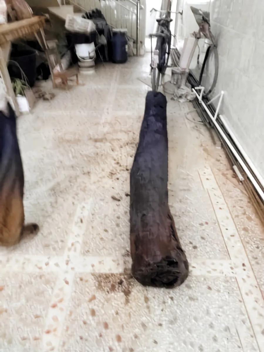 小伙捡到一块烂木头在家放了14年,男子去爬山捡到一块木头