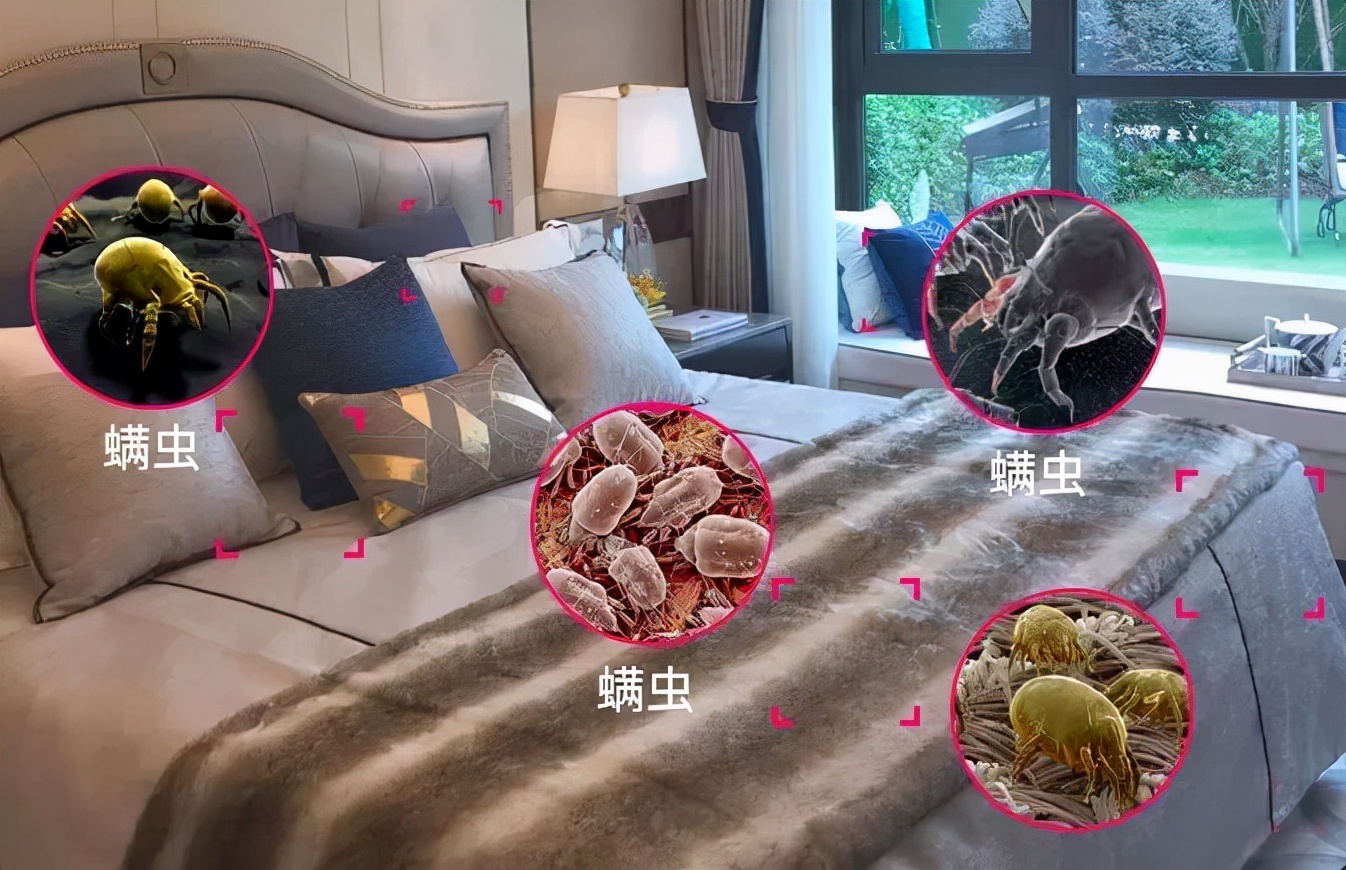 被子有异味家政阿姨教你去除方法,被子放久有异味怎么去除