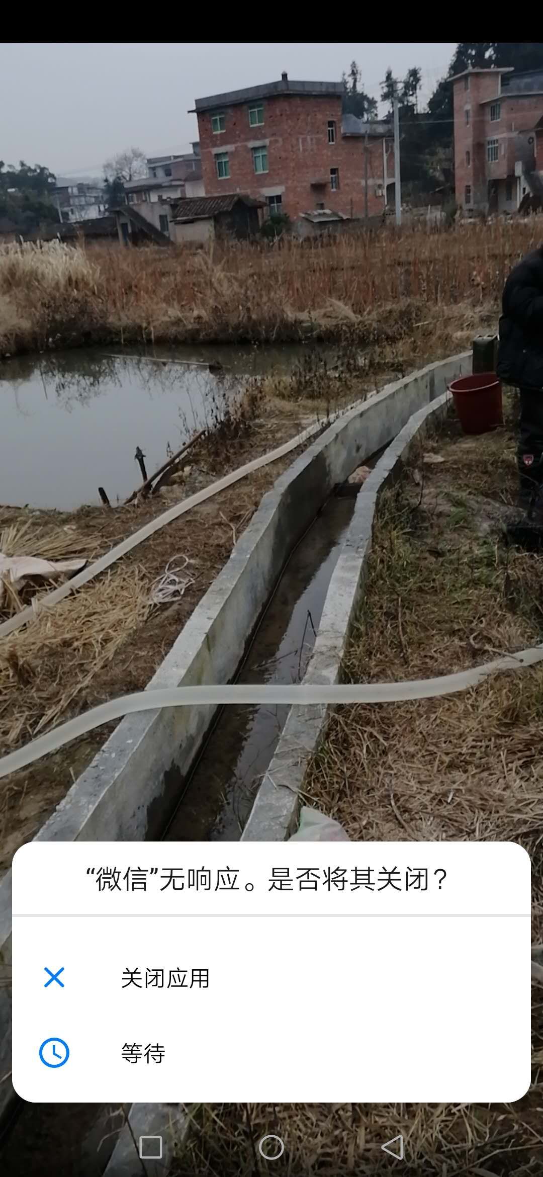 微信最新版本8.0.49bug,微信最近版本8.0.45bug