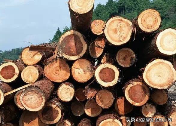家具行业木材的介绍,我国民间家具常用木材