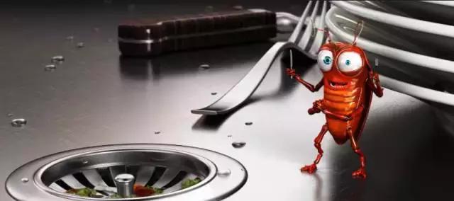 断头不死，马桶里重生，南方蟑螂凭什么把北方汉子吓出猪叫