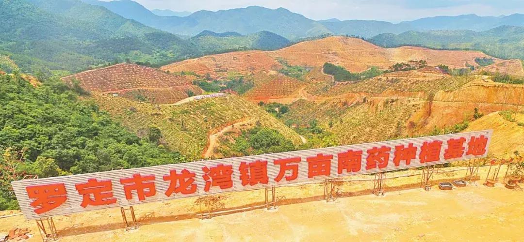 罗定龙湾镇最新规划,罗定龙湾乡村振兴