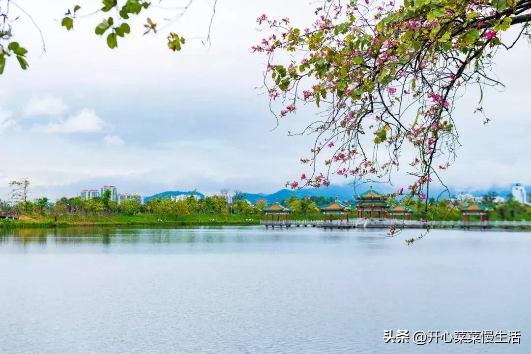 肇庆七星岩景区可以玩多久,全国最便宜的5a级景区