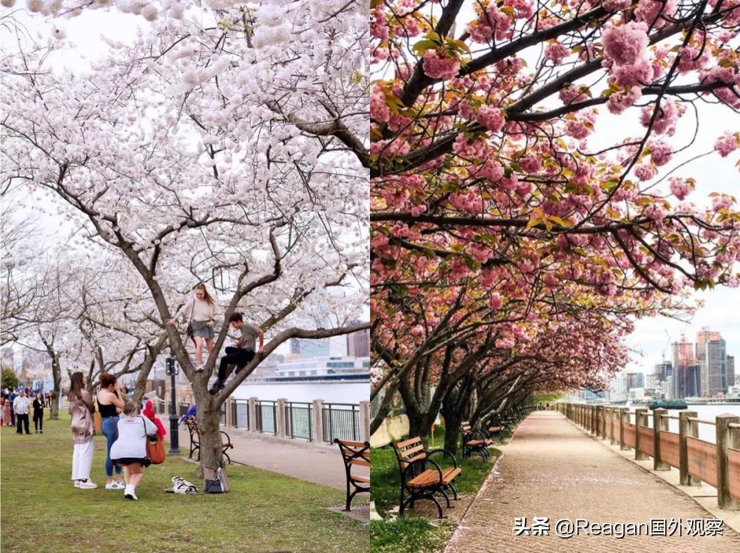 作为纽约客，你的日常已经被疫情改变还会变回去吗？