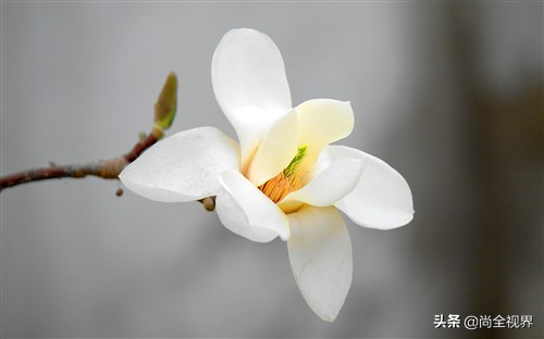 单反相机怎么拍摄全景图,单反拍摄视频教程