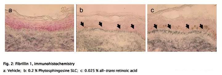 娇韵诗双萃精华是熬夜精华吗,娇韵诗双萃精华和圣罗兰熬夜精华