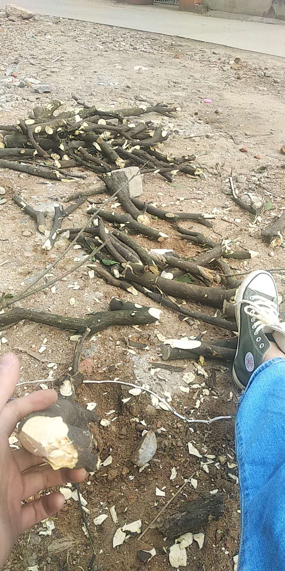 复读生自传怎么写,复读生的自传感言