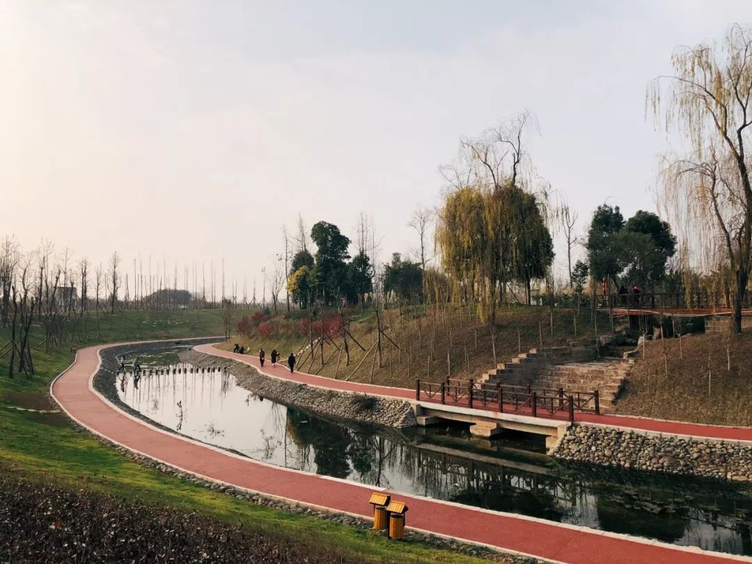 成都新增2个公园,成都到处都是公园城市