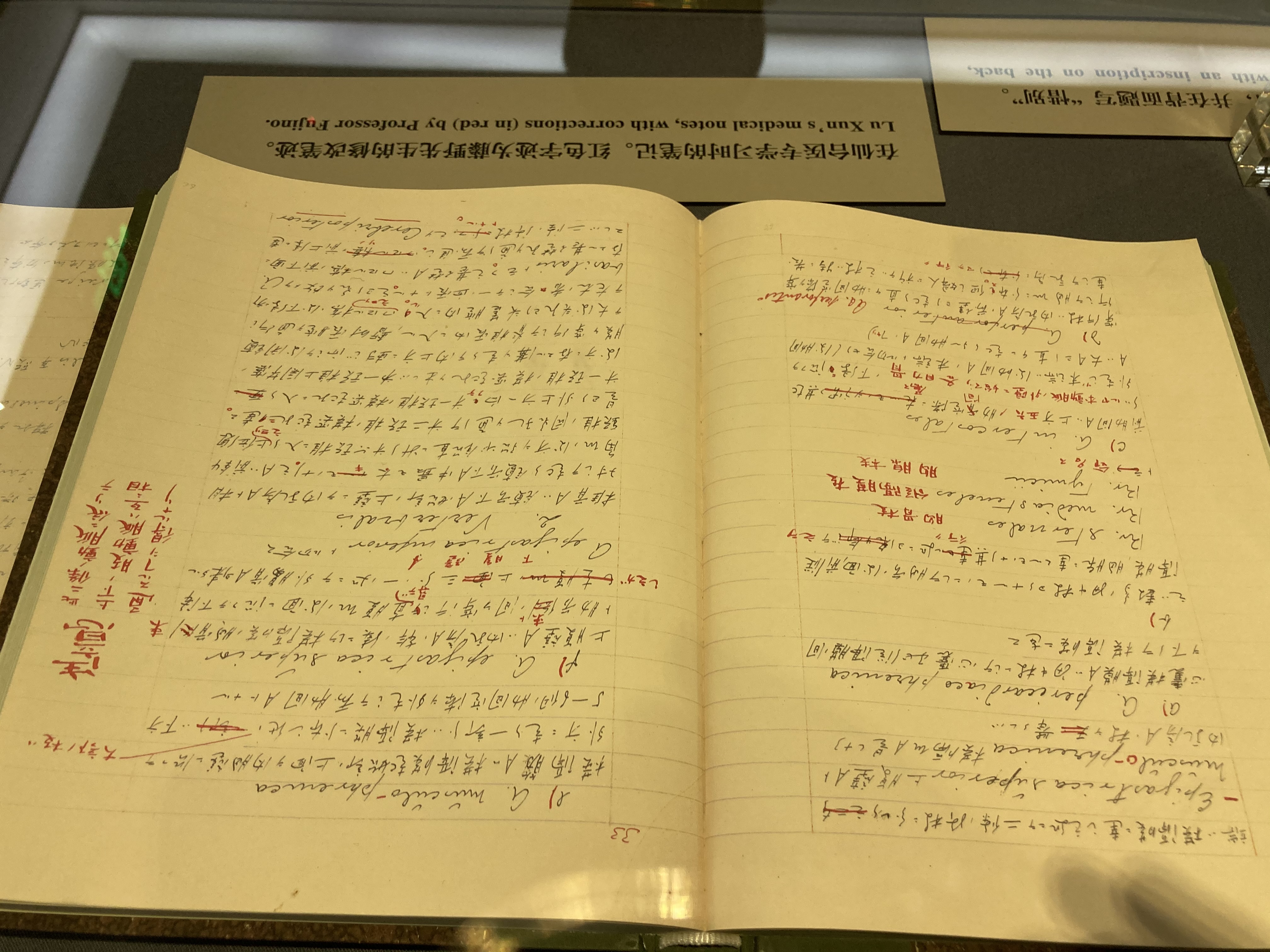 20年后鲁迅和藤野见面会说些什么,鲁迅和藤野先生是什么关系