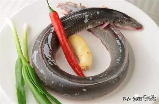 好吃不贵的海鲜种类有哪些,最好吃又最常见海鲜有几种