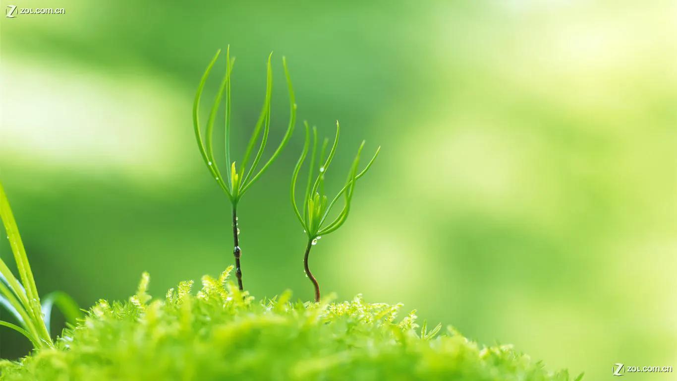 竞彩足球怎么买教程,竞彩足球到底怎么买