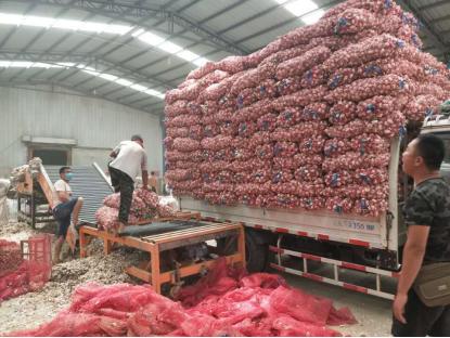 小伙没学历进公司,没学历小伙进公司