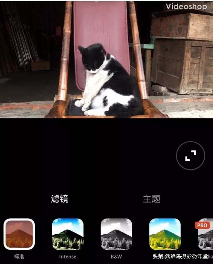 「连载」剪视频一点都不难8款超实用剪辑App全方位评测上