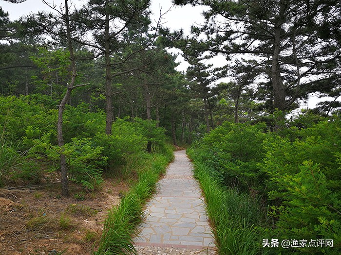 哈仙岛旅游攻略二日游,哈仙岛旅游攻略儿童