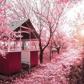 何为黄宗羲定律,中国历史上为何存在黄宗羲定律