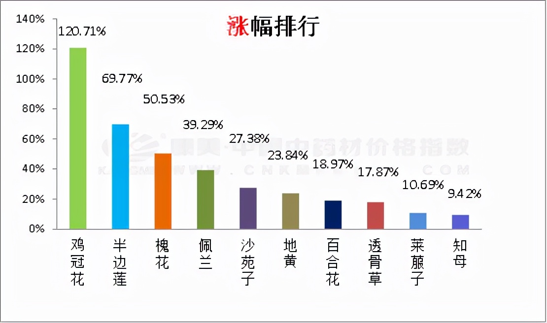 白术中药特征,药材分析白术