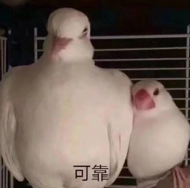 奶爸怎么上手教学,帅气奶爸教学