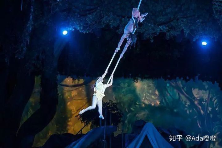 独自带2岁的娃怒刷了10次上海迪士尼，不听我听谁？