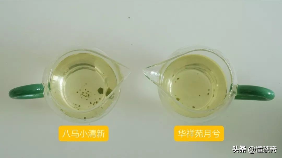 八马蓝罐清香铁观音测评,华祥苑铁观音对比八马茶业
